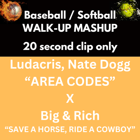 Ludacris, Nate Dogg “Area Codes” x Big & Rich “Save A Horse, Ride A Cowboy”