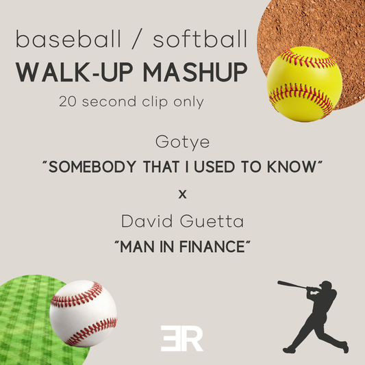 Gotye "Somebody That I Used To Know" x David Guetta "Man In Finance"
